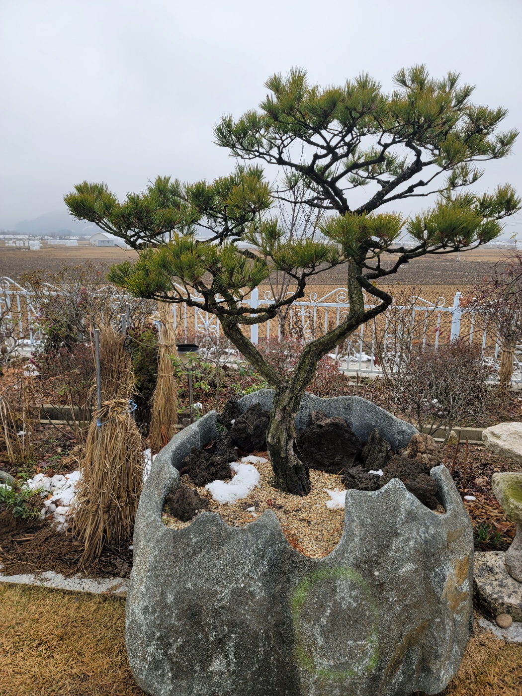 2000769928_QnTXyq4e_672b4a012dca7ae5f859f463e42e404975400dc4.jpg 이미지크게보기