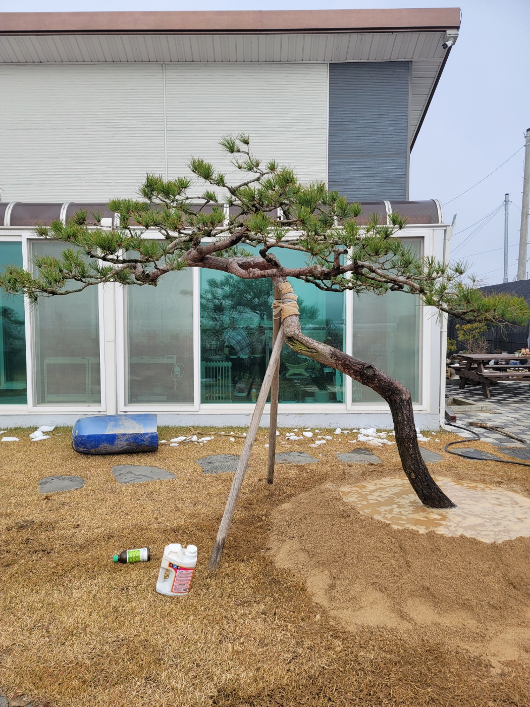 2000769928_TnGclsgE_a22cbce817f5eb32176a6b4541f65b3fe81a3425.jpg 이미지크게보기