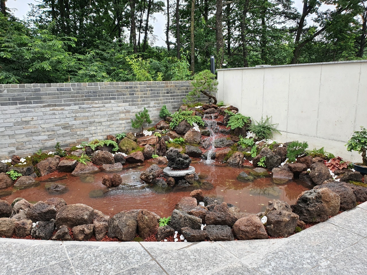 2950055133_8rEJFVMW_775c542b58b3d253f0749d920ff4c4a54dbe4a6d.jpg 이미지크게보기