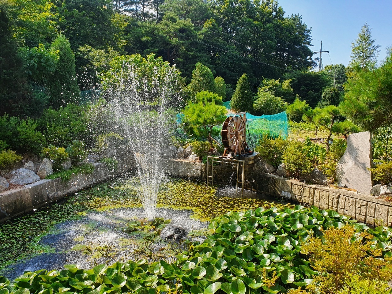 2950055133_D0WsEla3_32302ebf24b76d0ade02e32476cc60bec626ae6b.jpg 이미지크게보기