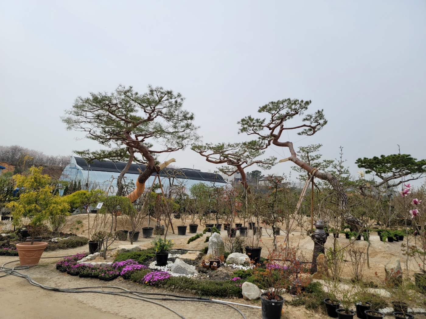 31396258_06IEHSBT_a7e18289cf736e732927adc6b616a47238ae0cf9.jpg 이미지크게보기