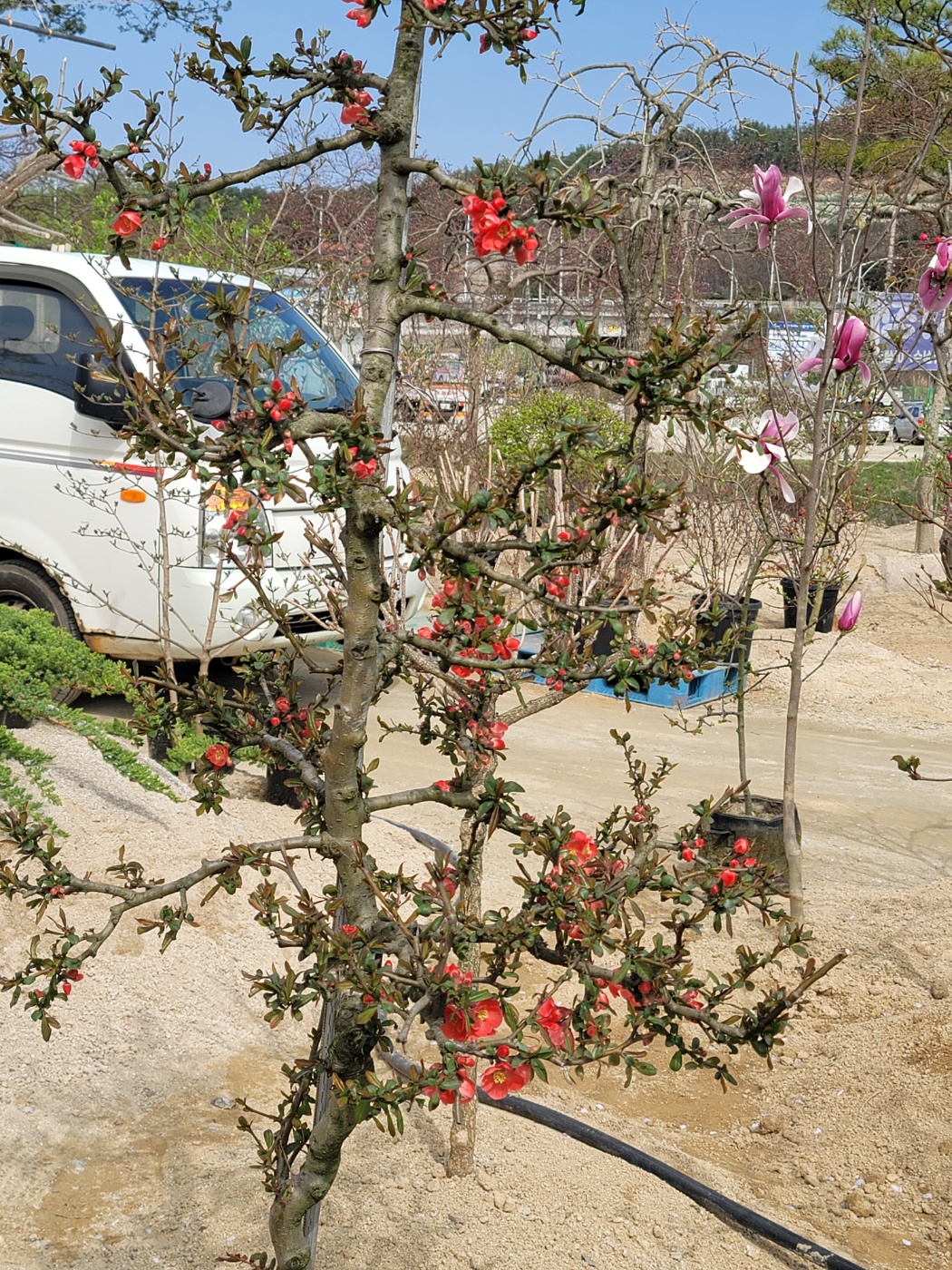 31396258_0XVwDtaK_125764b84f68fbc4bd31e4079785feab0d6464b8.jpg 이미지크게보기