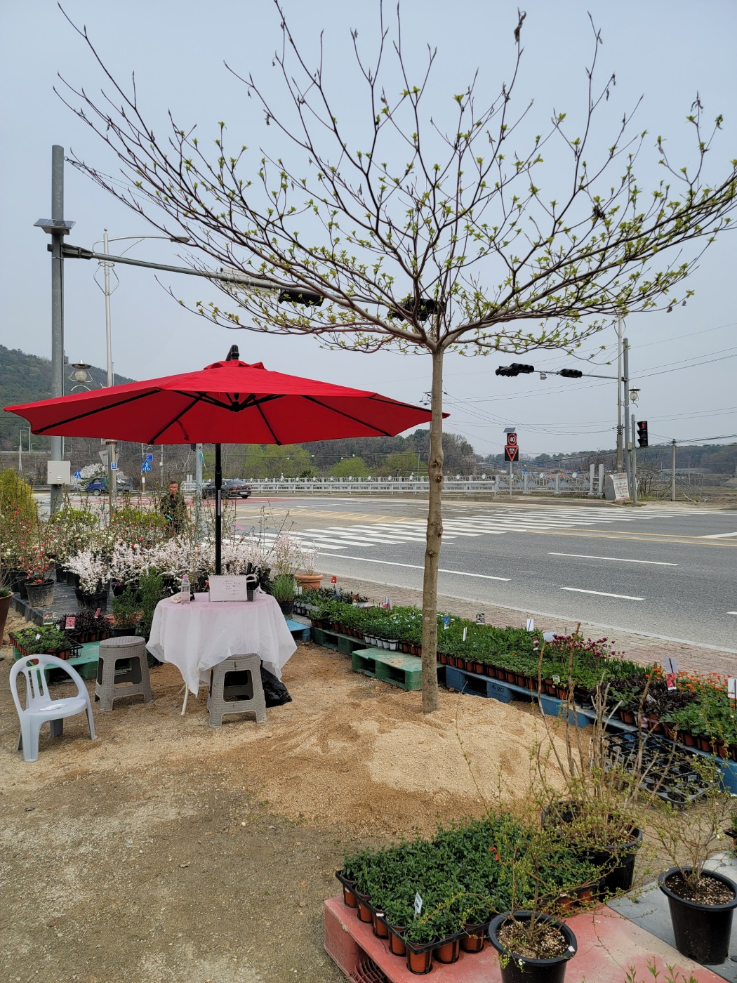 31396258_6neyi8vR_52b8b6613c74679a5efb32dc6f934d93c266246d.jpg 이미지크게보기