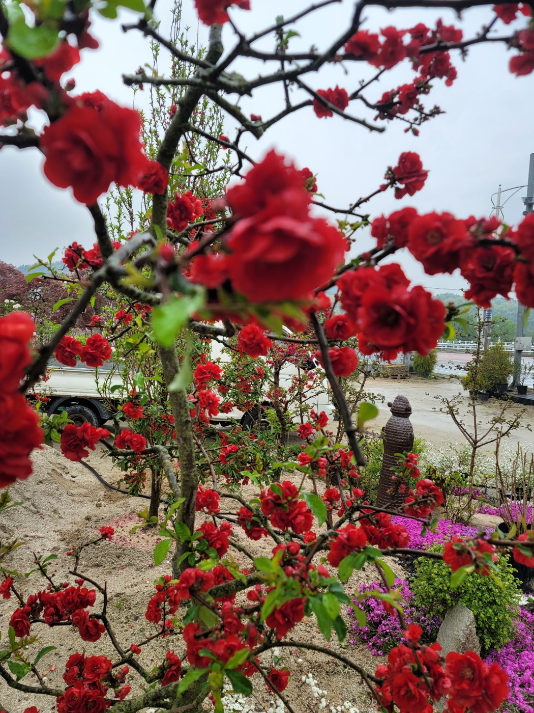 31396258_96CmhVHD_c28c2269afead034dca4d82b50b400bbd94c0b32.jpg 이미지크게보기