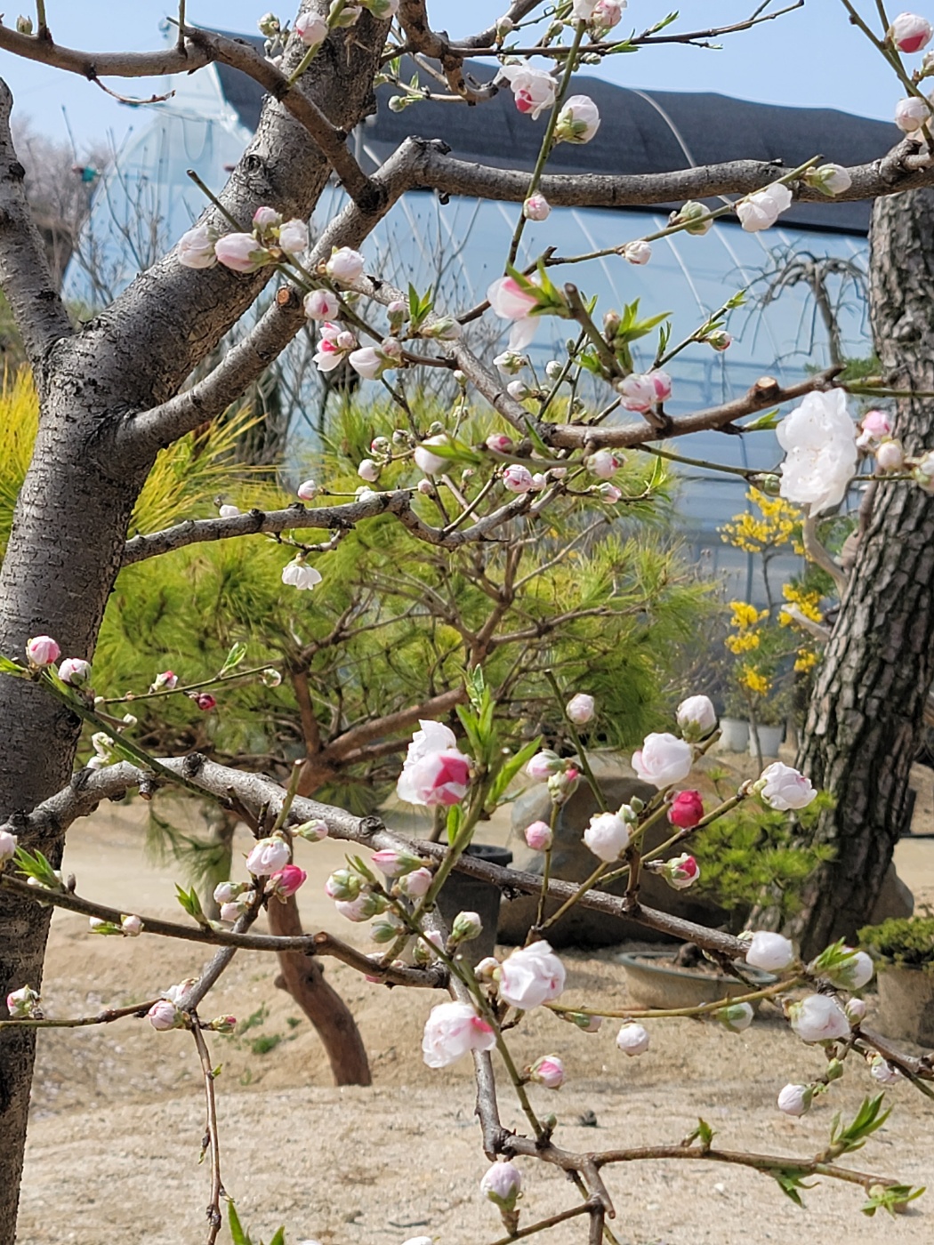 31396258_HU7BZxJ6_352e2d4b130b778bab9d79a63b1e1109488697d4.jpg 이미지크게보기