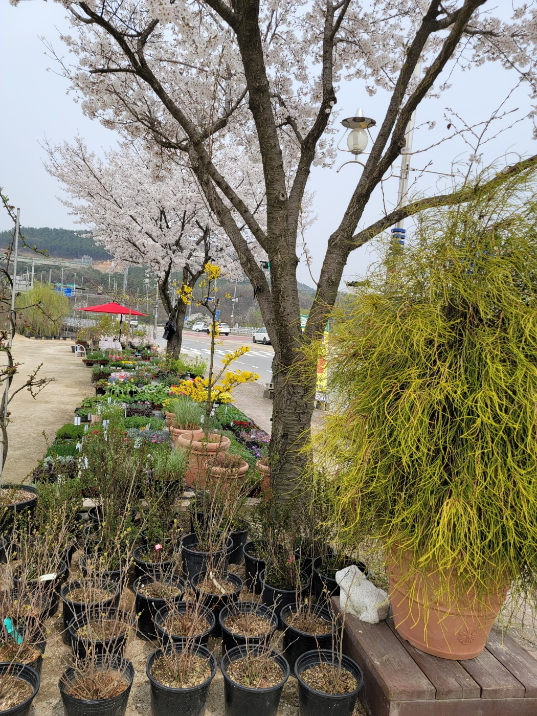31396258_Kua5HljX_81adcbe074af3d1ebd9474104abbf798d4874dbe.jpg 이미지크게보기