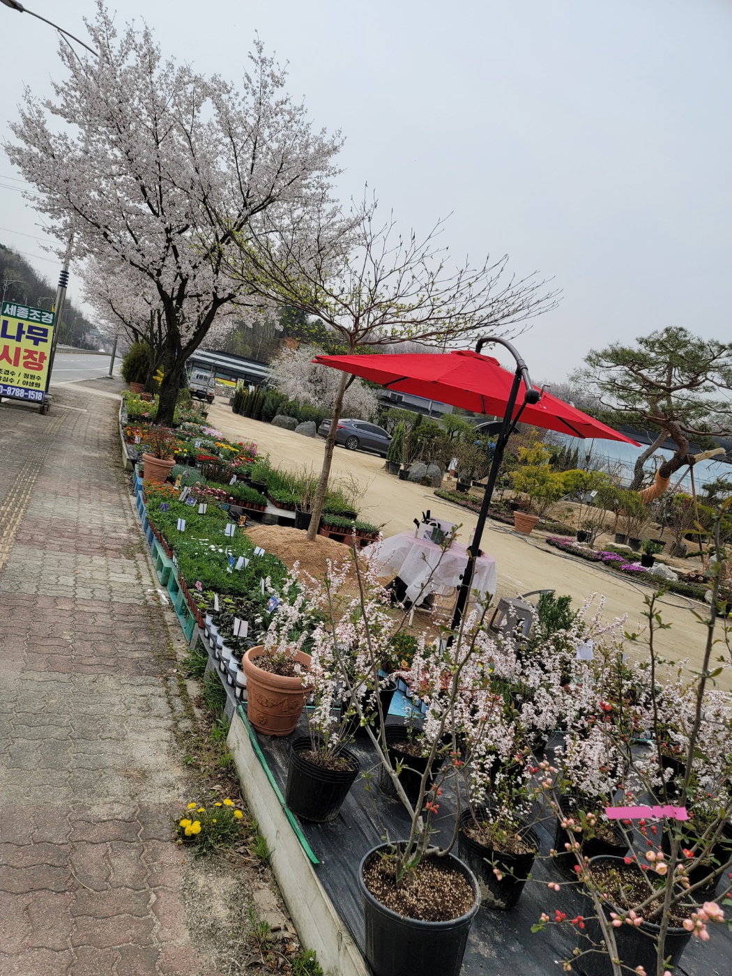 31396258_OB6giHLb_e752623d92277c061ac3f559bbae2b028cf82755.jpg 이미지크게보기