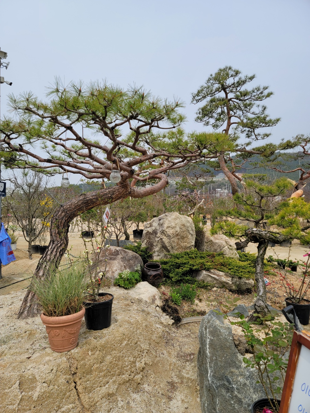 31396258_SCKOlyQT_fd09bf2835cd50812d033cb3e5054bb50b03fc99.jpg 이미지크게보기