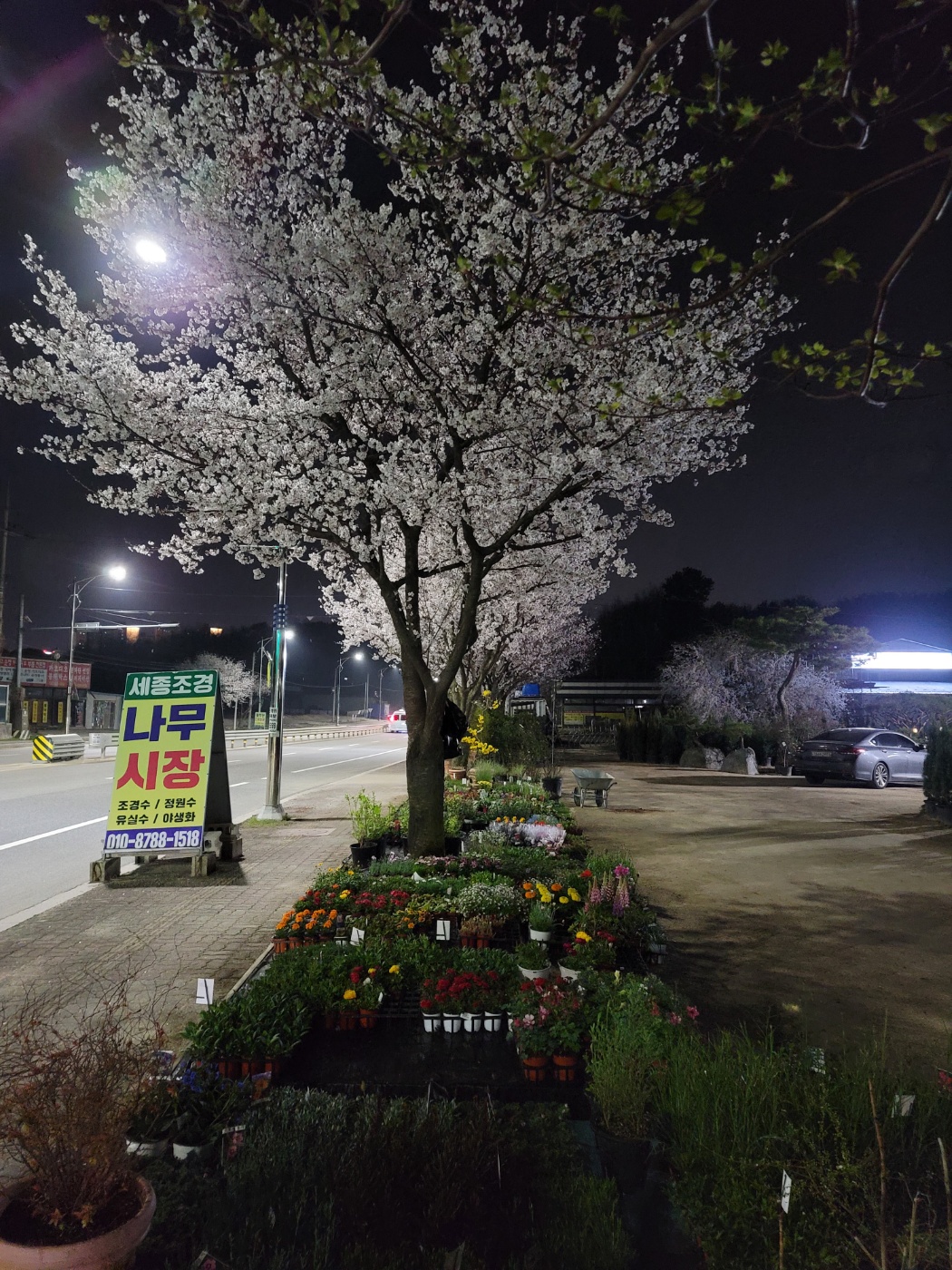 31396258_Z75l6zAQ_69f8be343cdb8eae0dffd3bd1477a5cc7086e6e7.jpg 이미지크게보기