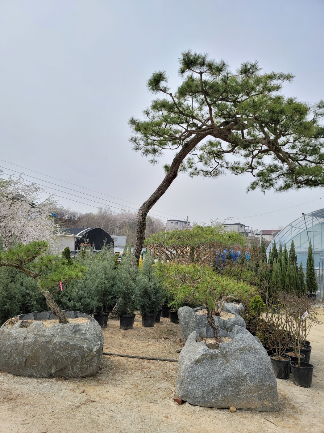 31396258_ai02BOF7_48e1f68ab88a22271087d06b8c5f1e52f028bf49.jpg 이미지크게보기
