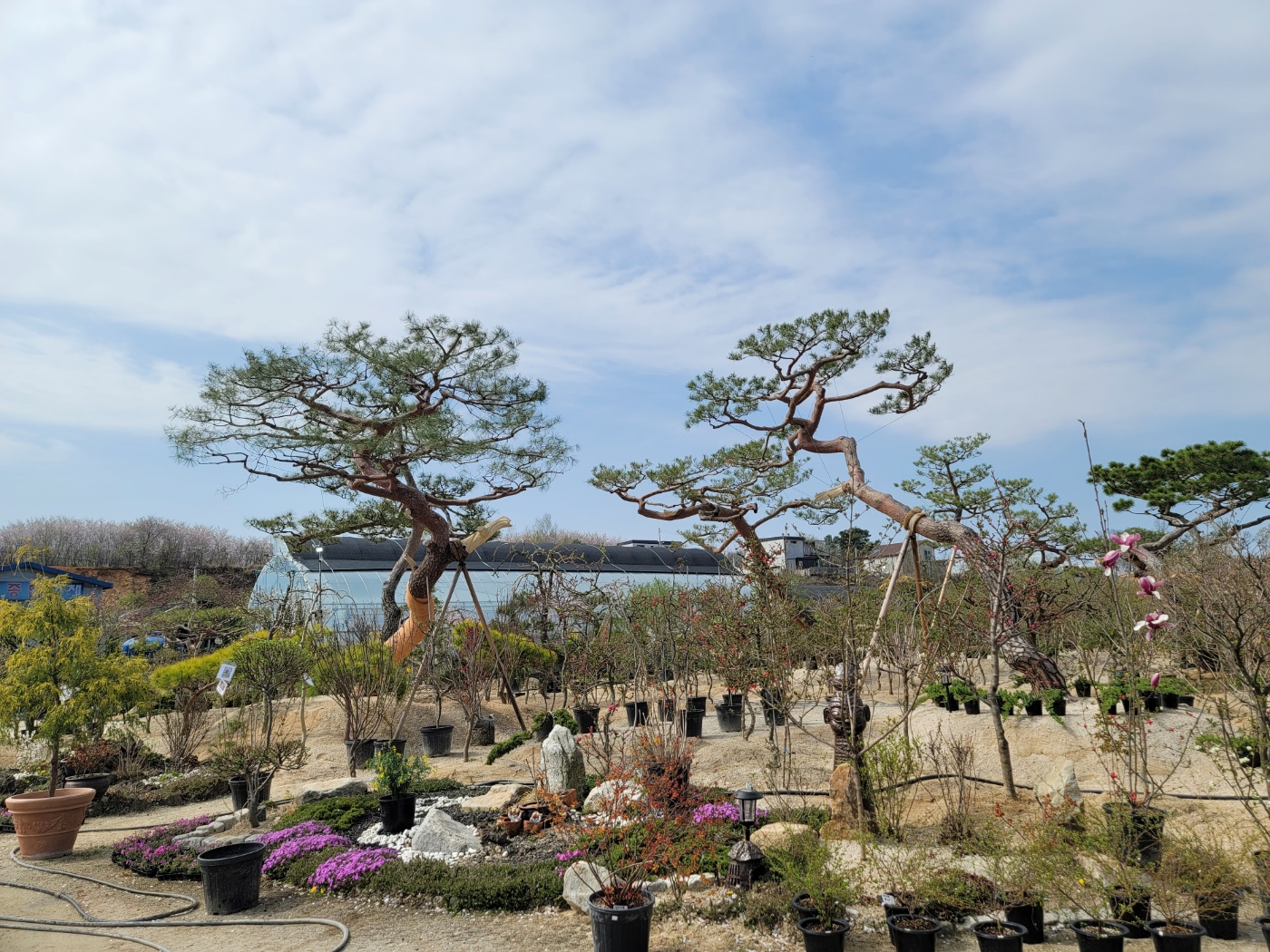 31396258_bYCU7Bz2_30ff183a79161bbdf731878db98755eb0c78d8f0.jpg 이미지크게보기