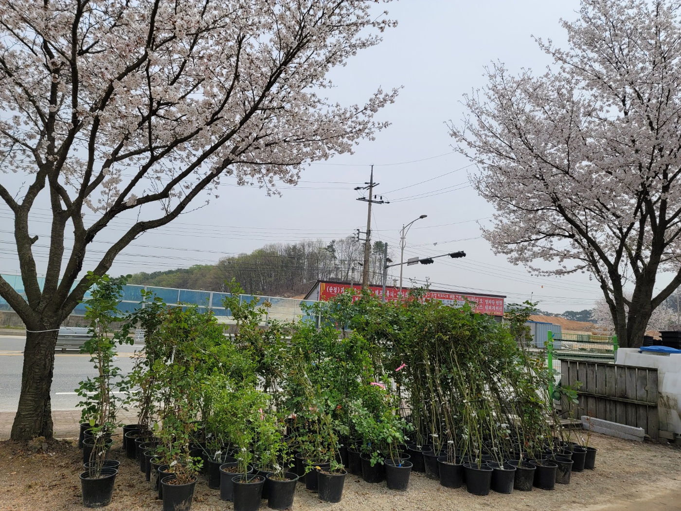 31396258_bgciTOUK_dce7ba67dbc61c08231aaf1410a8969e90fd0d24.jpg 이미지크게보기