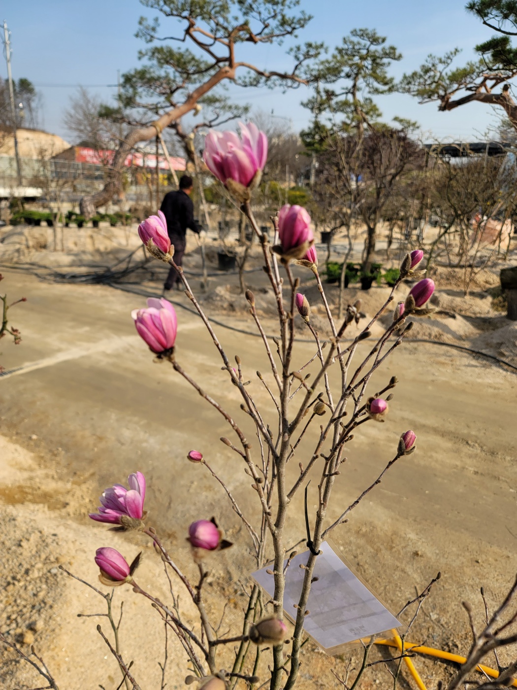 31396258_caP2soJn_99a5e69b0a2f1328f3b49cb08dd88fc595783091.jpg 이미지크게보기