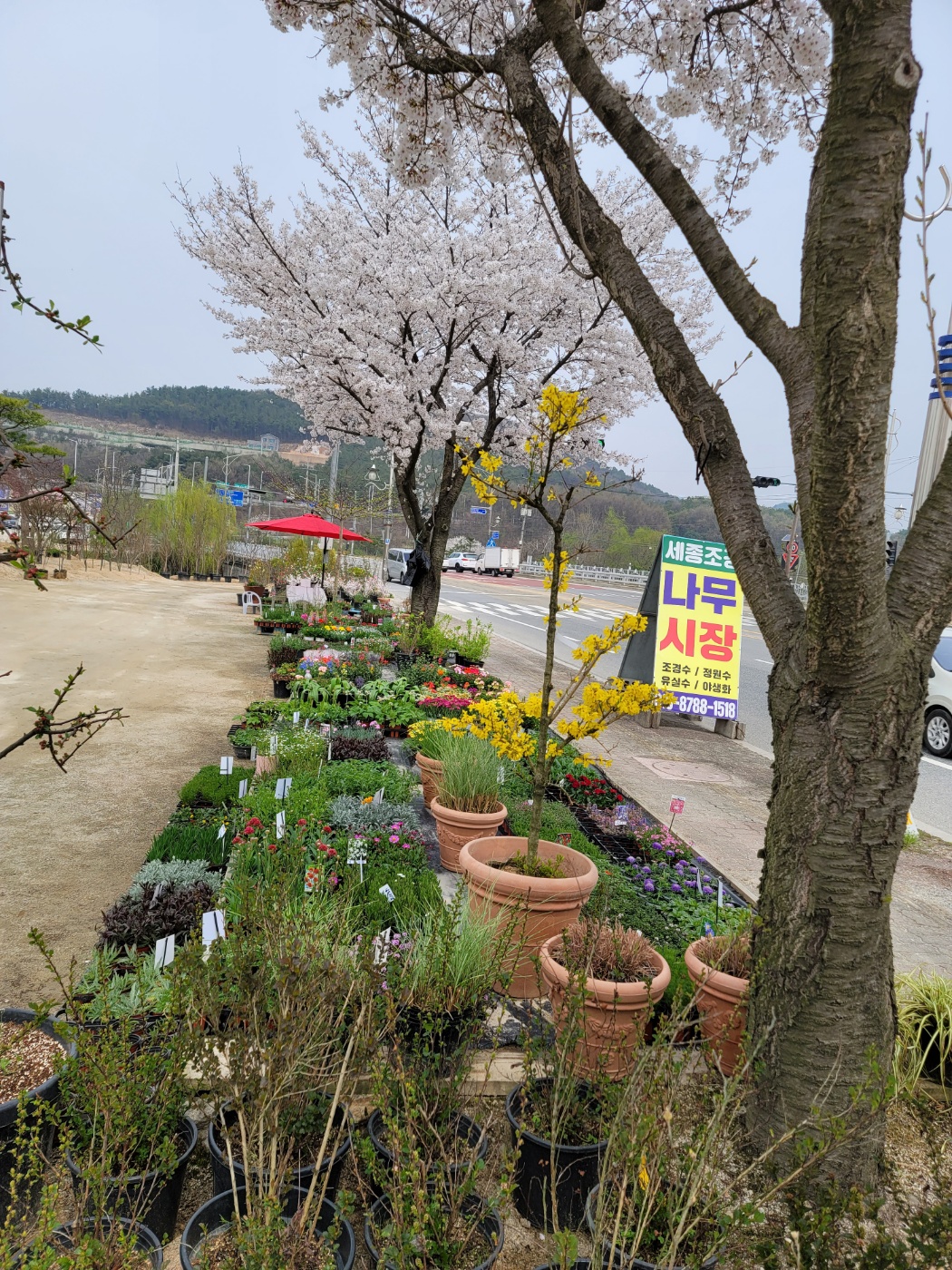 31396258_dBcVfChm_c42f6aa4f9a3304dc52153db5fdf4870b514a431.jpg 이미지크게보기