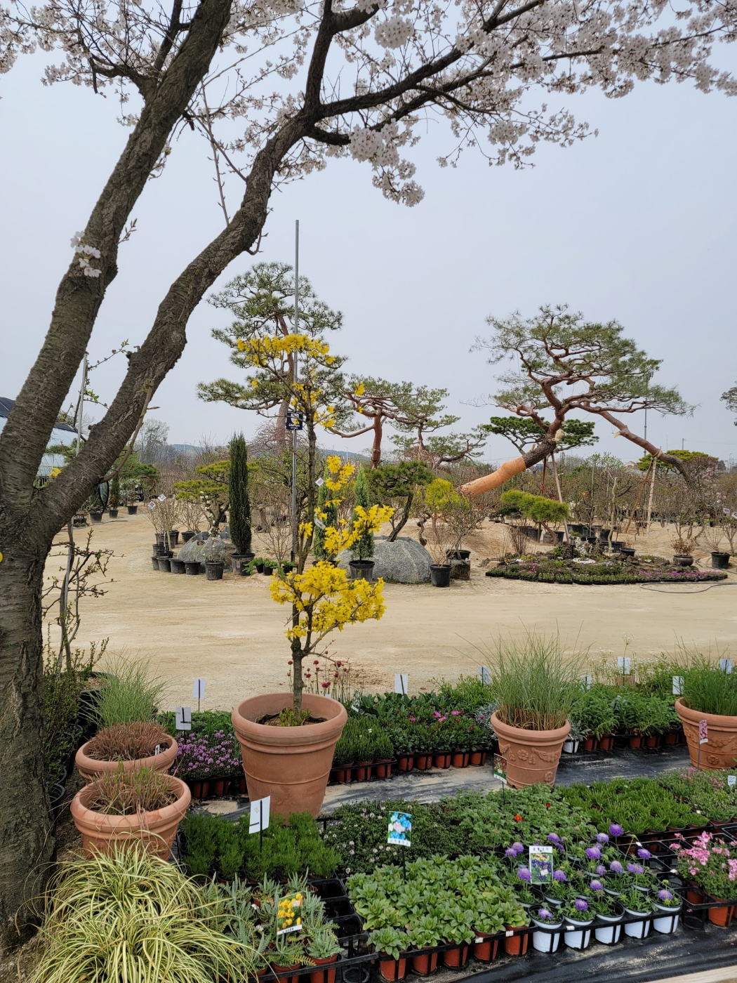 31396258_rIC6v0al_d4b6bd8186ac0a07fa51766446cb475b9aa6bad1.jpg 이미지크게보기