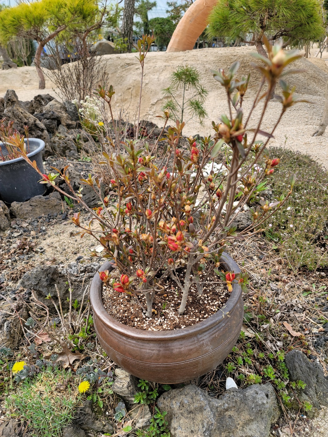 31396258_t97q8Lhm_7734f1c2cb12c57950bcf3fda3dc2be70bd838f4.jpg 이미지크게보기