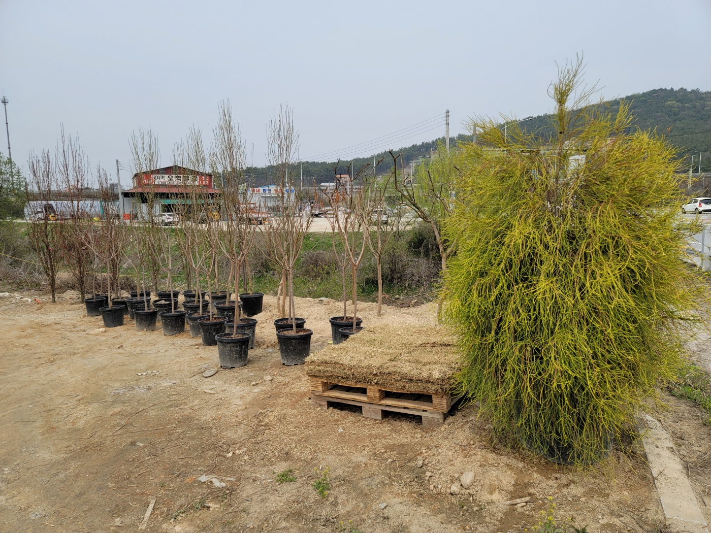31396258_v3tjUNqV_d0622e7f9a84498162bb9cbc25f27da15256da74.jpg 이미지크게보기