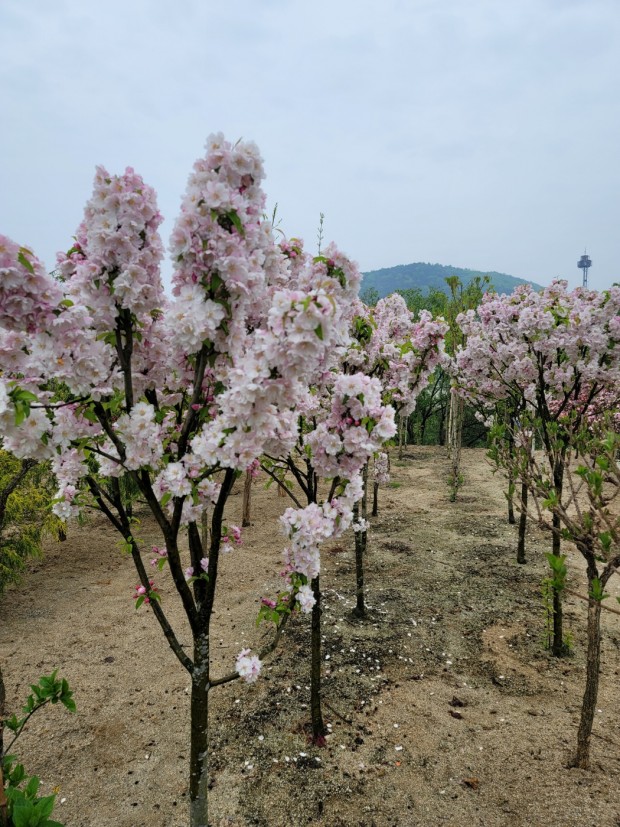 세종조경농원