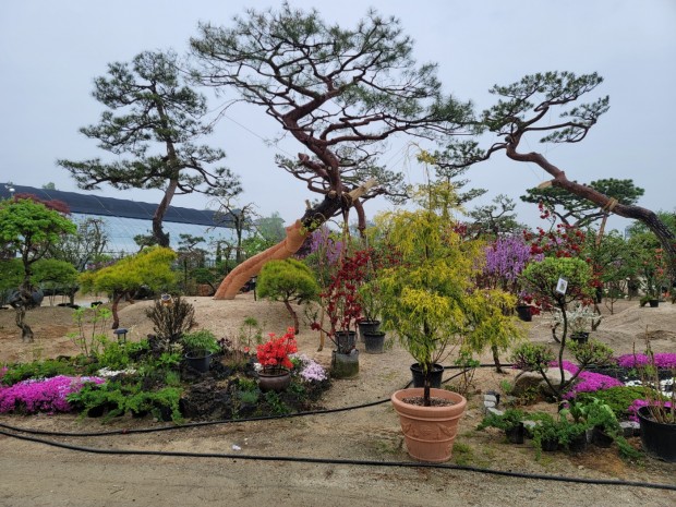 세종조경농원
