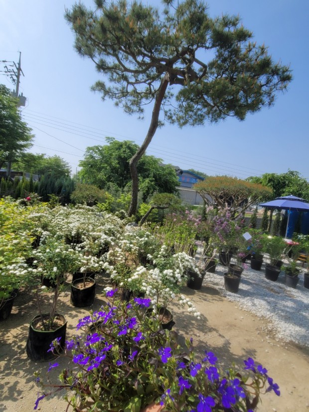 세종조경농원