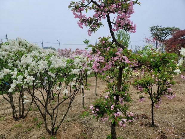 세종조경농원