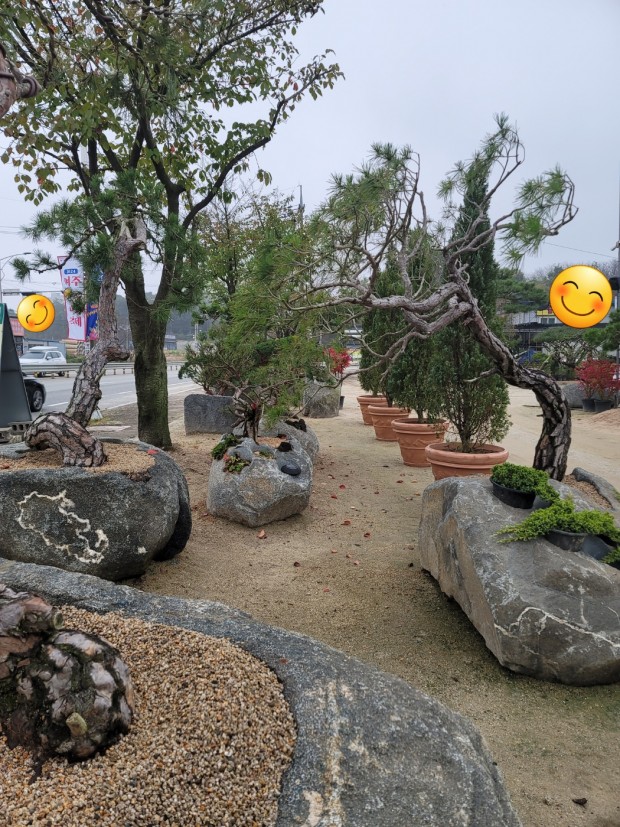 세종조경농원