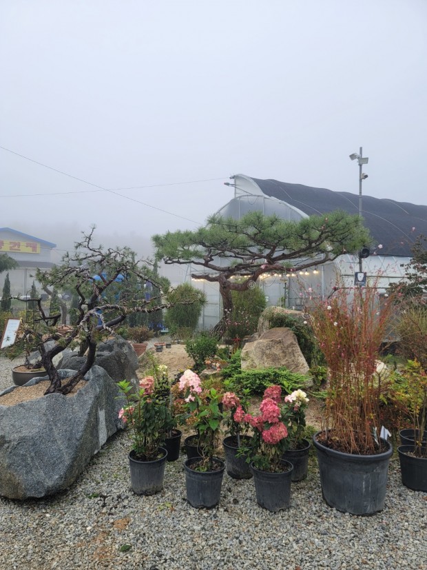 세종조경농원