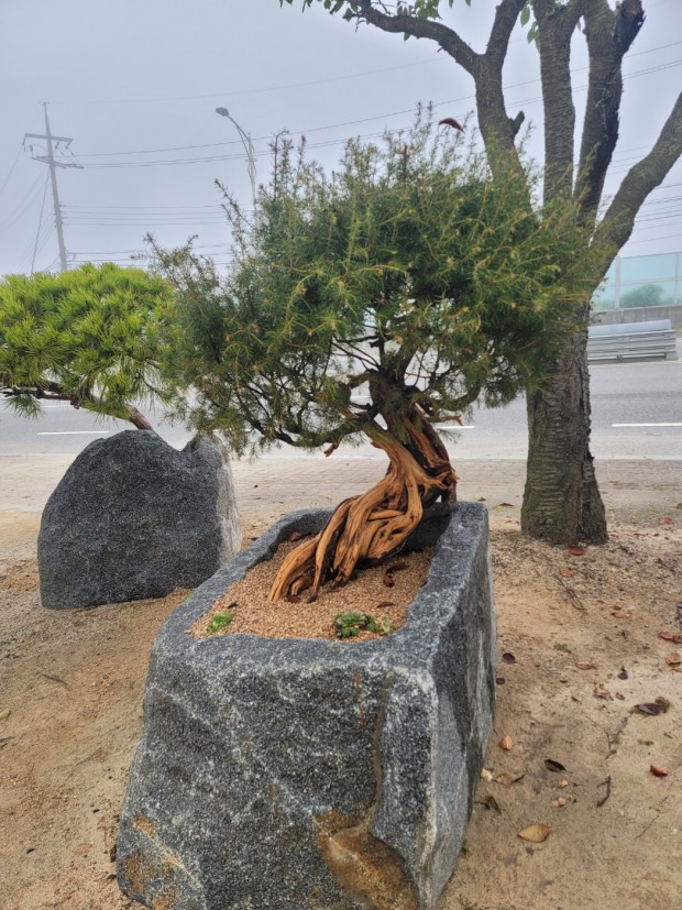 세종조경농원