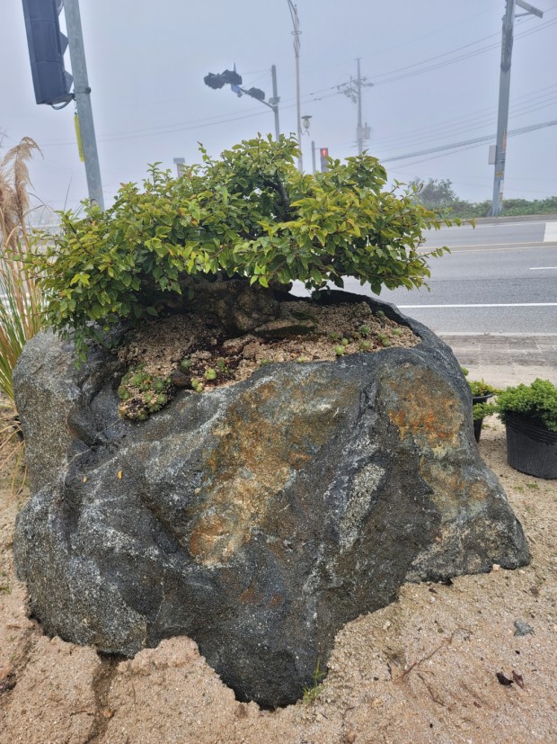 세종조경농원