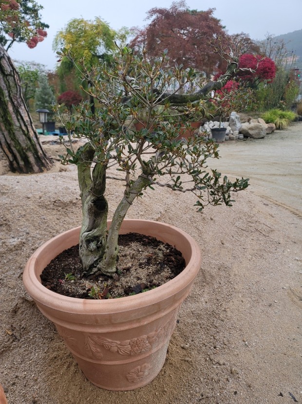 세종조경농원