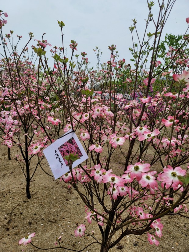 세종조경농원