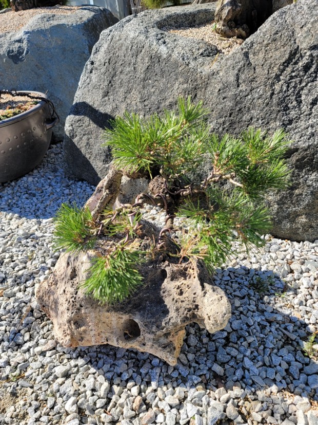 세종조경농원