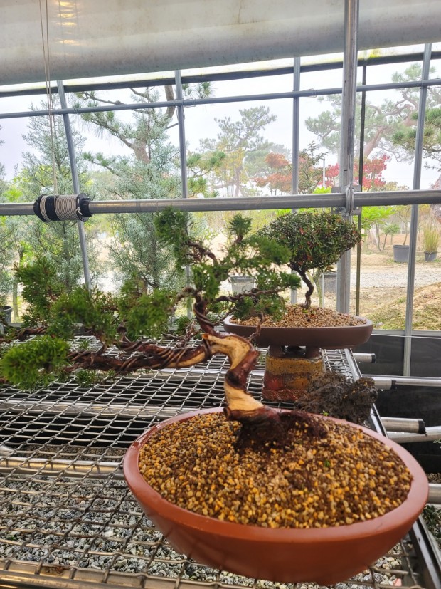세종조경농원