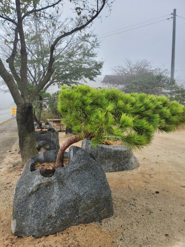 세종조경농원