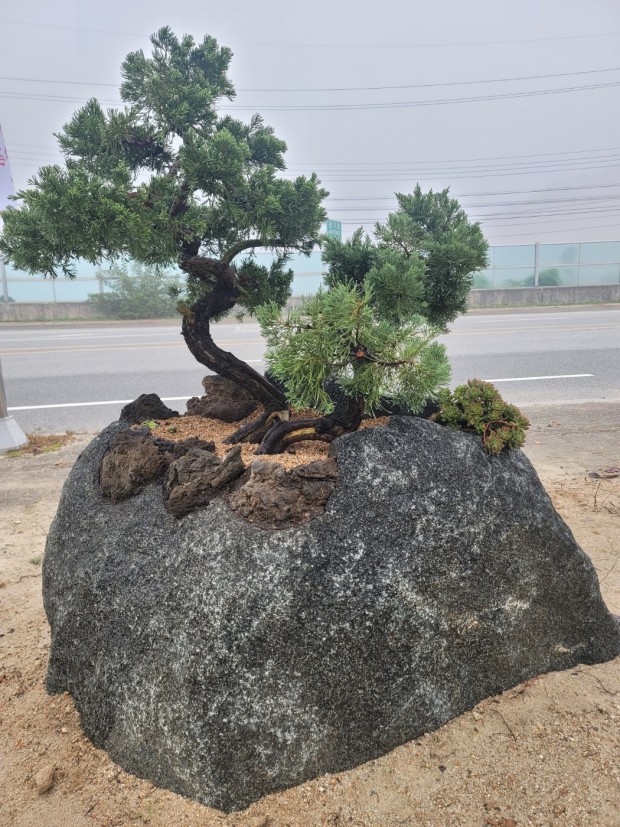 세종조경농원