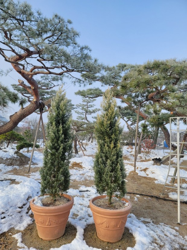 세종조경농원