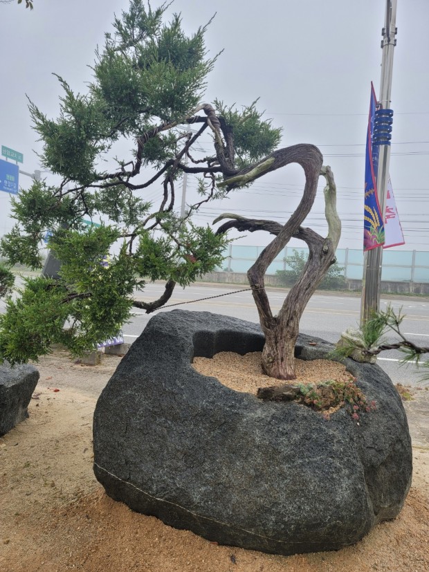 세종조경농원