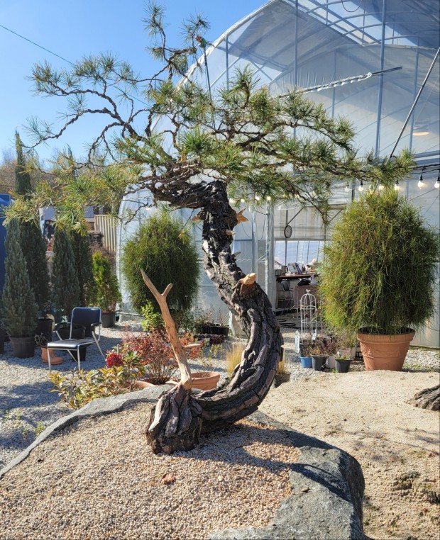 세종조경농원