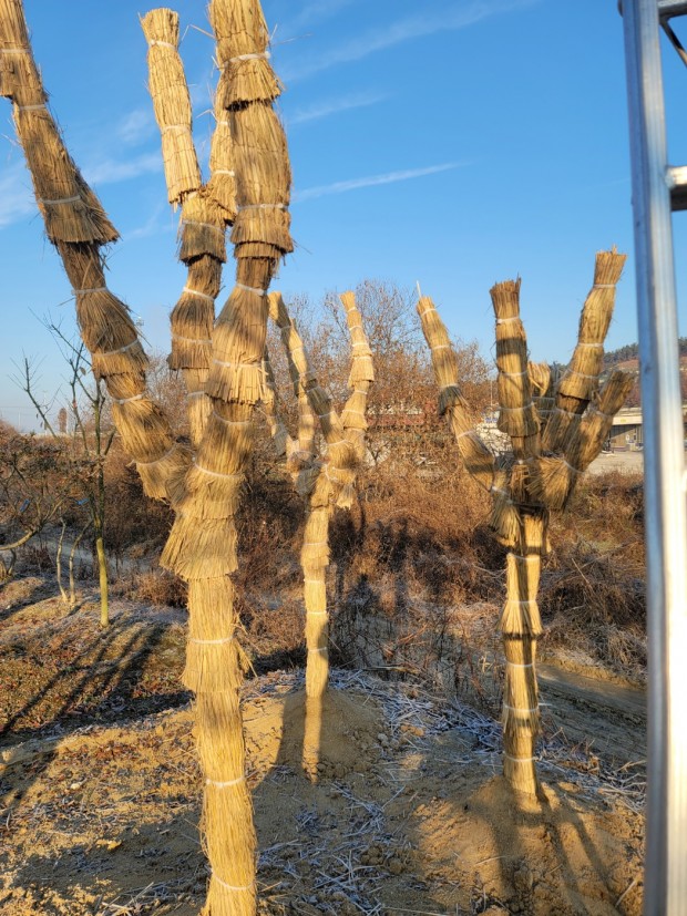 세종조경농원