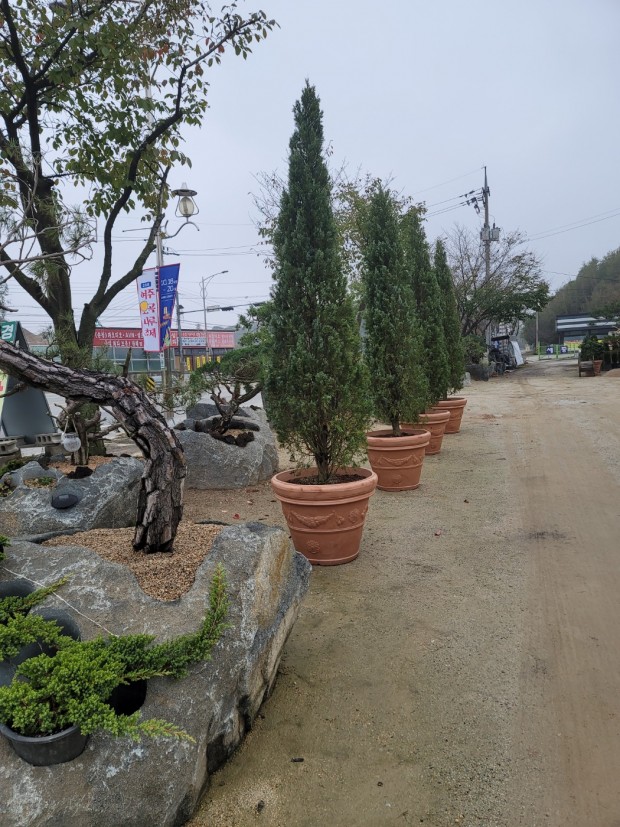 세종조경농원