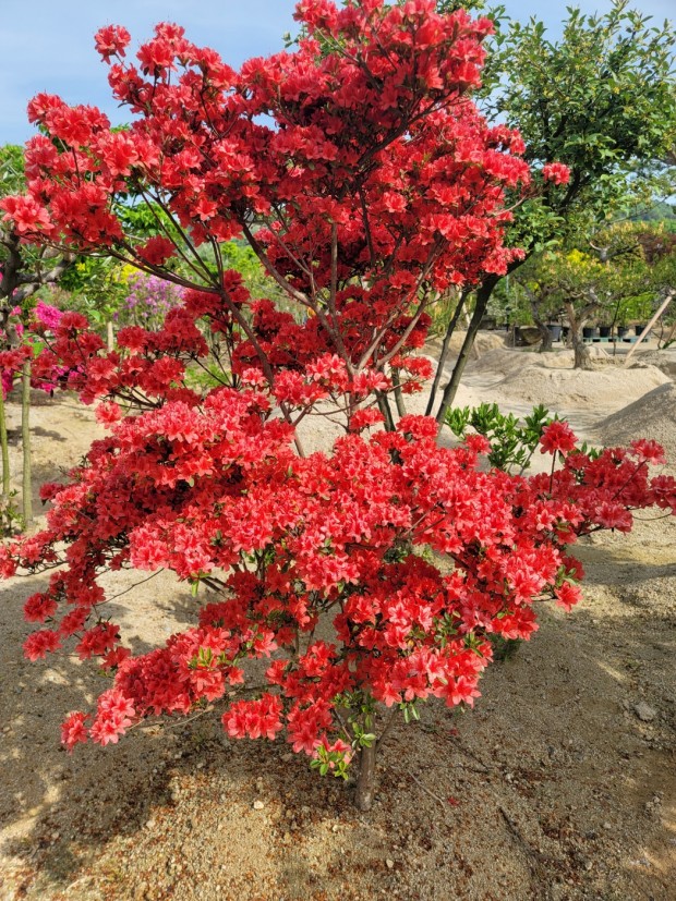 세종조경농원