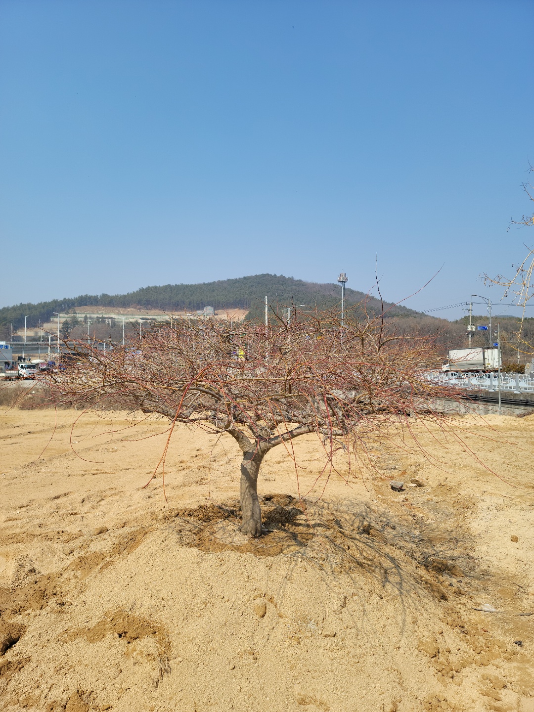/user/0/01087881518/editor/2203/0fe2c731bbb81e9000e44926ed539b8d_1646875016_9727.jpg 이미지크게보기