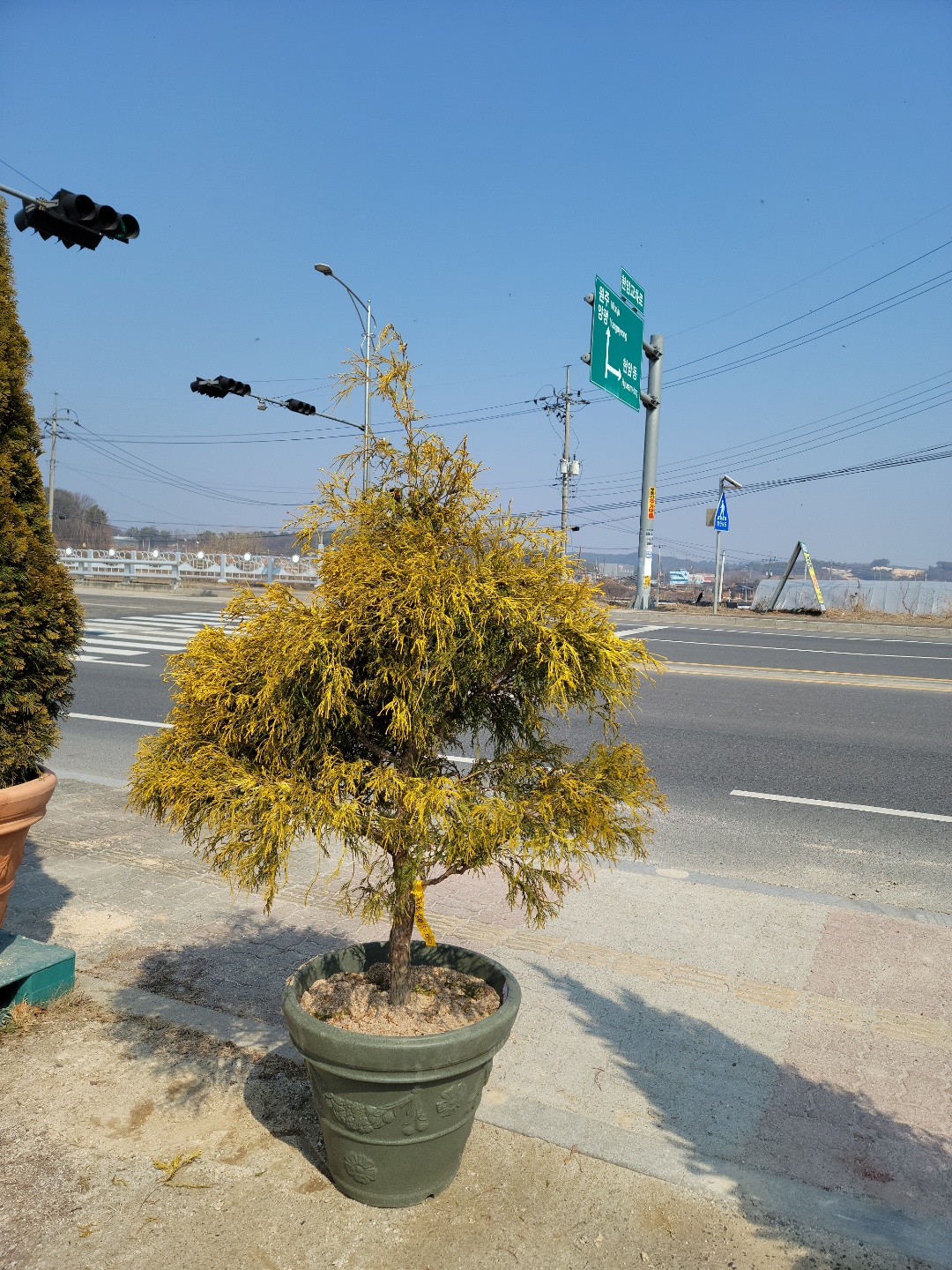 /user/0/01087881518/editor/2203/0fe2c731bbb81e9000e44926ed539b8d_1646883834_9966.jpg 이미지크게보기