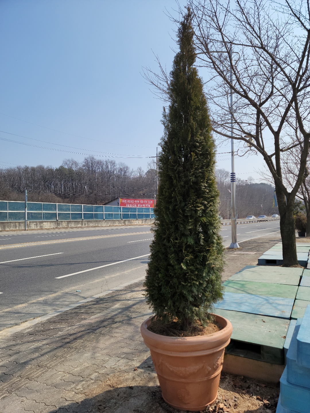 /user/0/01087881518/editor/2203/0fe2c731bbb81e9000e44926ed539b8d_1646883847_4101.jpg 이미지크게보기