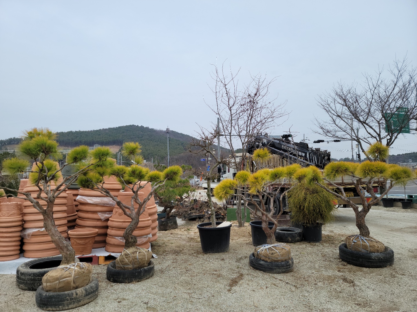 /user/0/01087881518/editor/2203/7bbb4ec2c3fdc3b8b3e78761e722da62_1647488908_5107.jpg 이미지크게보기