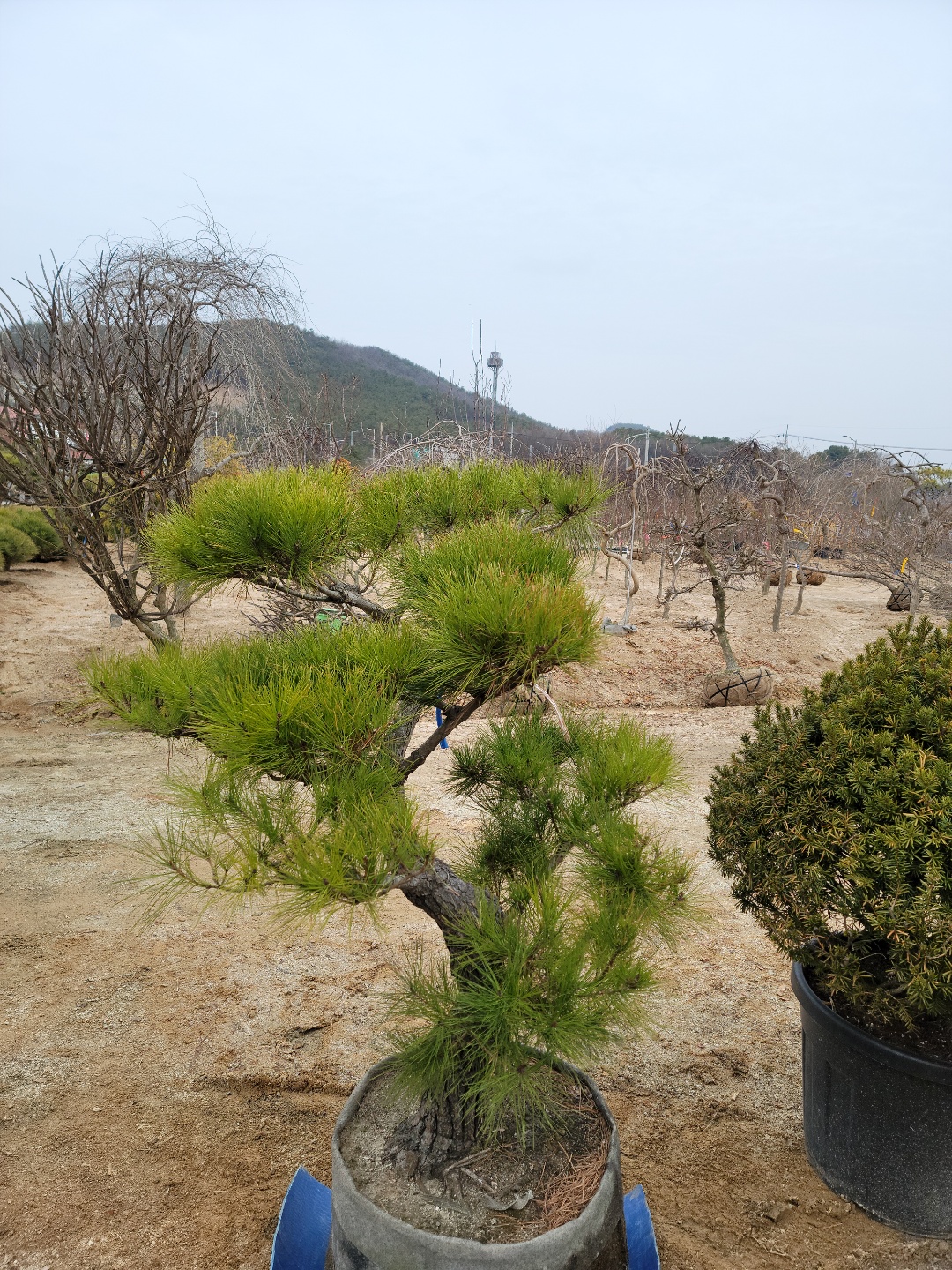 /user/0/01087881518/editor/2203/7bbb4ec2c3fdc3b8b3e78761e722da62_1647488974_7165.jpg 이미지크게보기