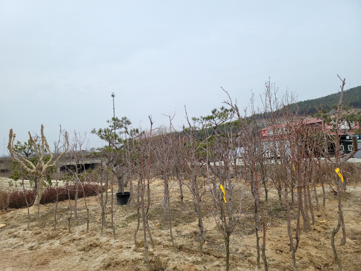 /user/0/01087881518/editor/2203/7bbb4ec2c3fdc3b8b3e78761e722da62_1647489012_0033.jpg 이미지크게보기