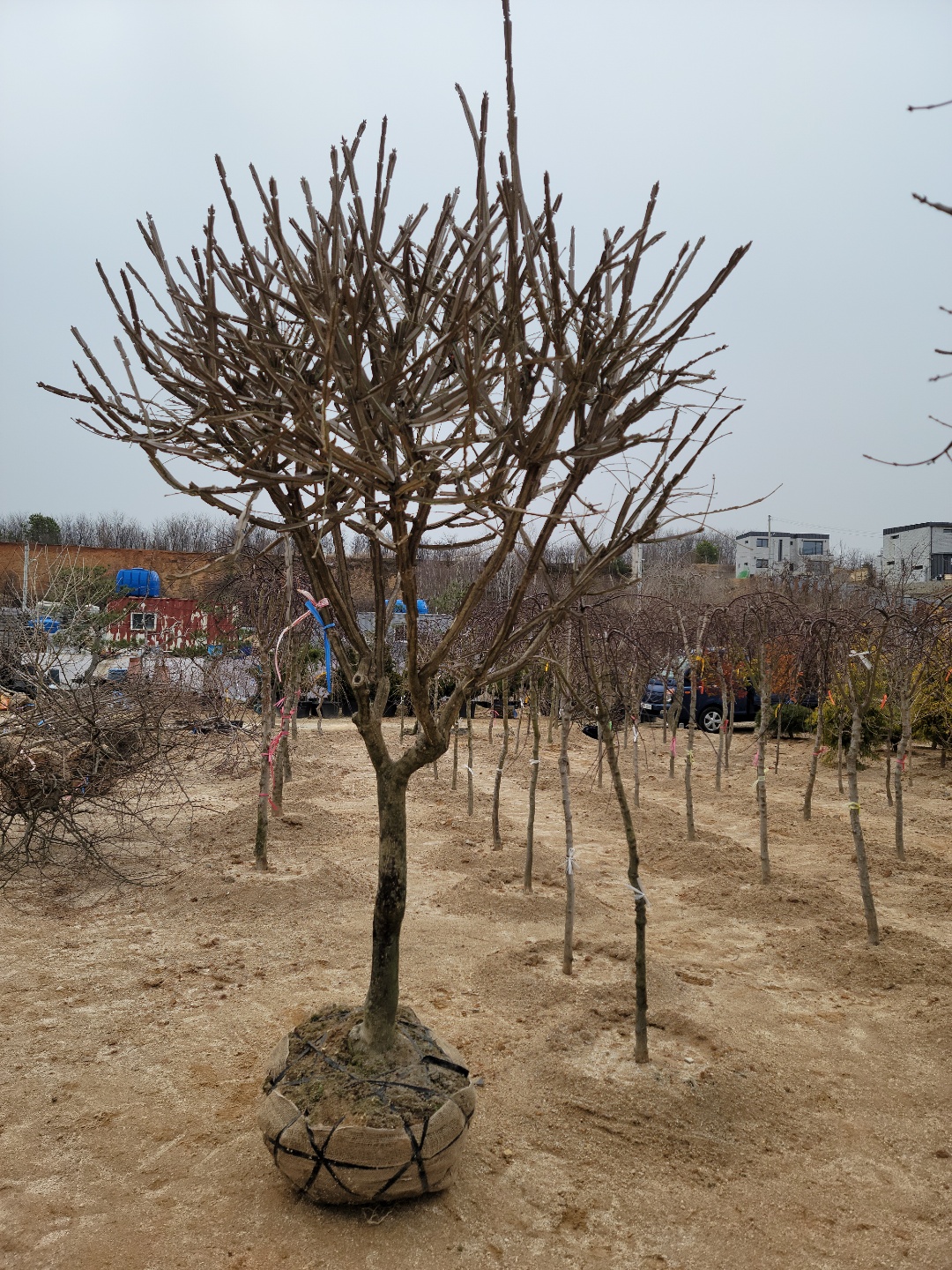 /user/0/01087881518/editor/2203/7bbb4ec2c3fdc3b8b3e78761e722da62_1647489037_317.jpg 이미지크게보기