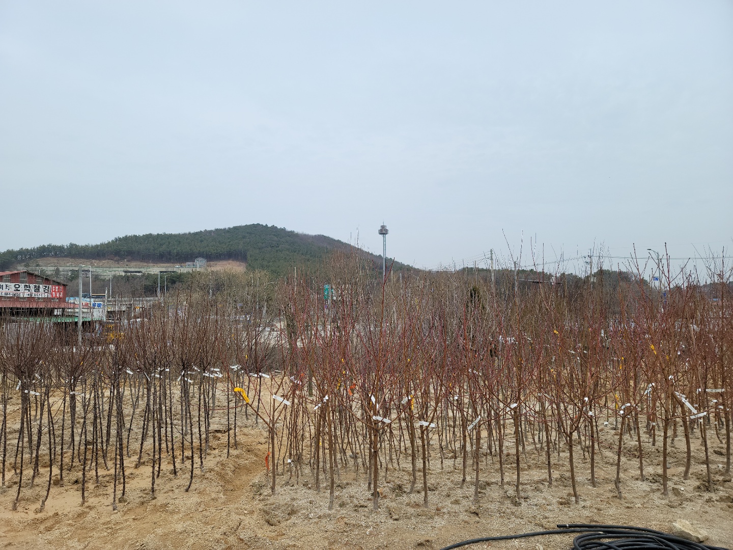 /user/0/01087881518/editor/2203/7bbb4ec2c3fdc3b8b3e78761e722da62_1647489050_0366.jpg 이미지크게보기