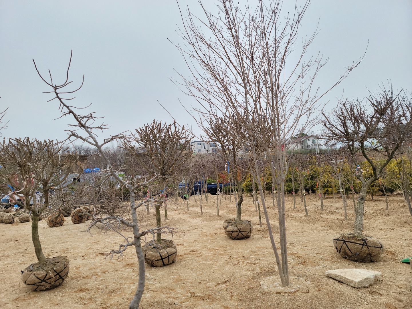 /user/0/01087881518/editor/2203/7bbb4ec2c3fdc3b8b3e78761e722da62_1647489063_4138.jpg 이미지크게보기